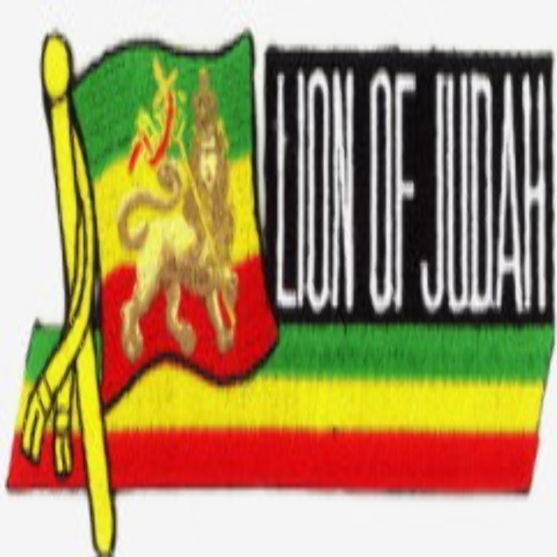 Patch Ecusson rasta lion