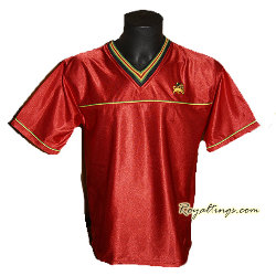 Tee shirt Jersey Lion of Judah noir, rouge, vert