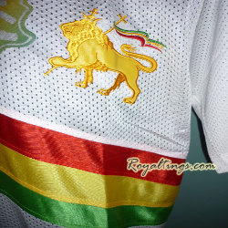 Jersey Lion Of Judah 2